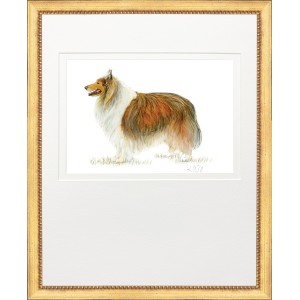 KS- HUNTING DOG 10